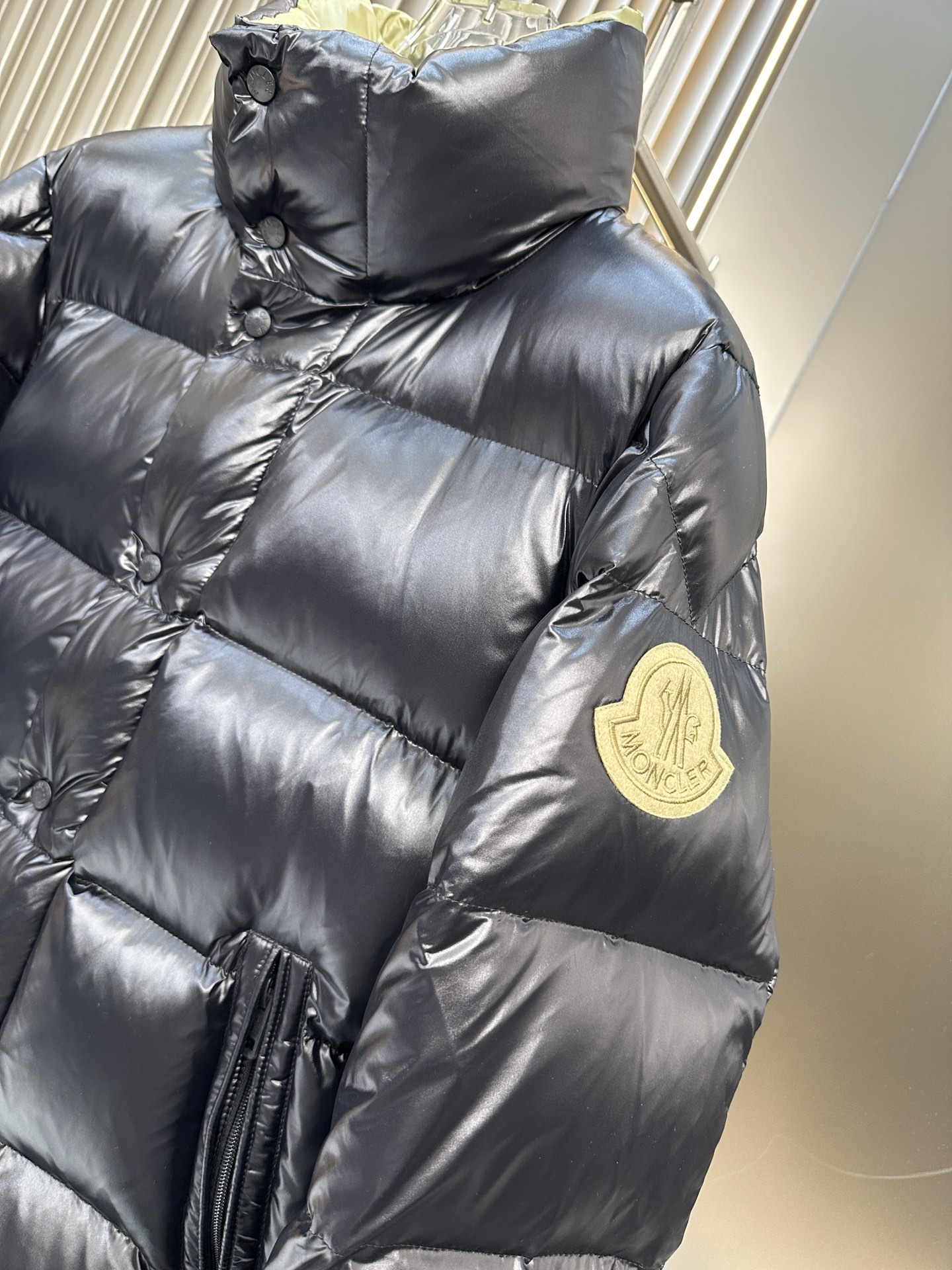 Moncler Down Jackets